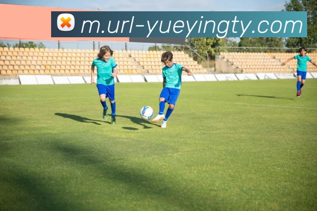 悦盈体育发展历程